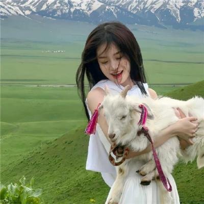 大象与犀牛的战争